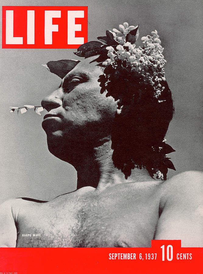 Life Cover: September 6, 1937 Photograph by Rex Hardy, Jr.