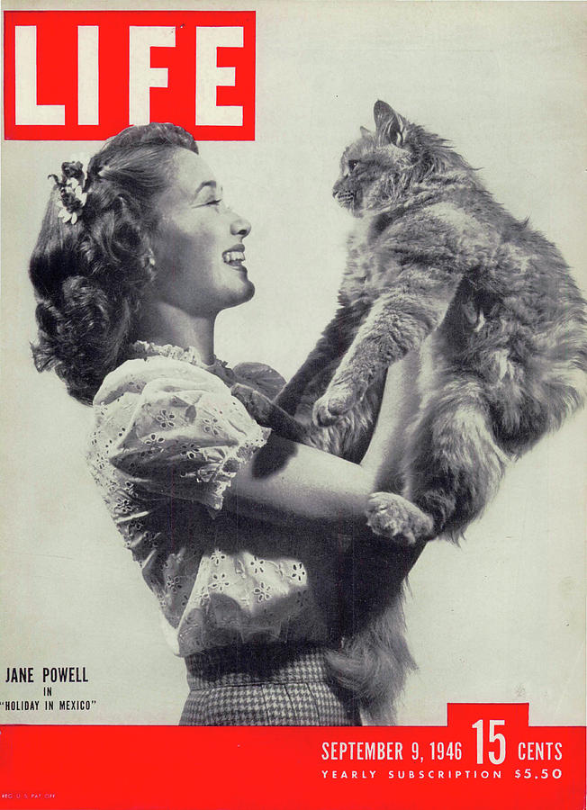 LIFE Cover: September 9, 1946 Photograph by Null