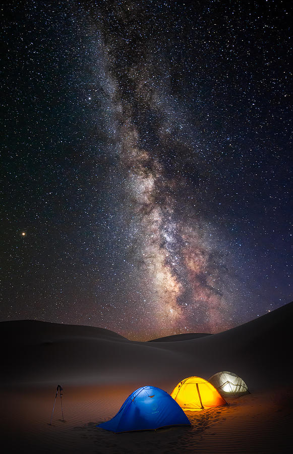 Night Photograph - Life In Desert by Yantingliu ??