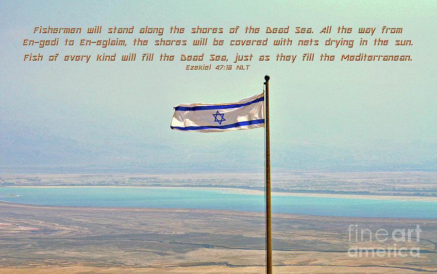 Life In The Dead Sea Photograph by Lydia Holly