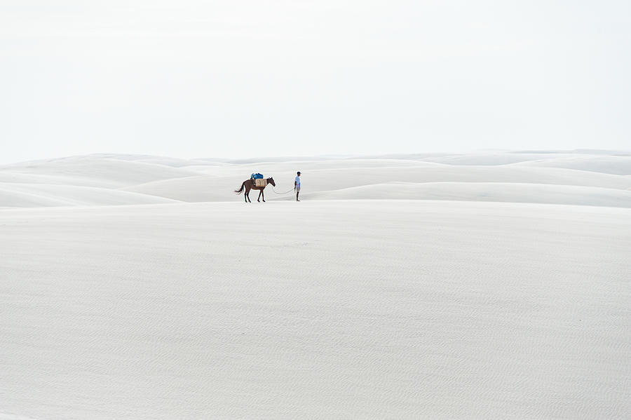 Life In The Desert Photograph by Akira Matsui