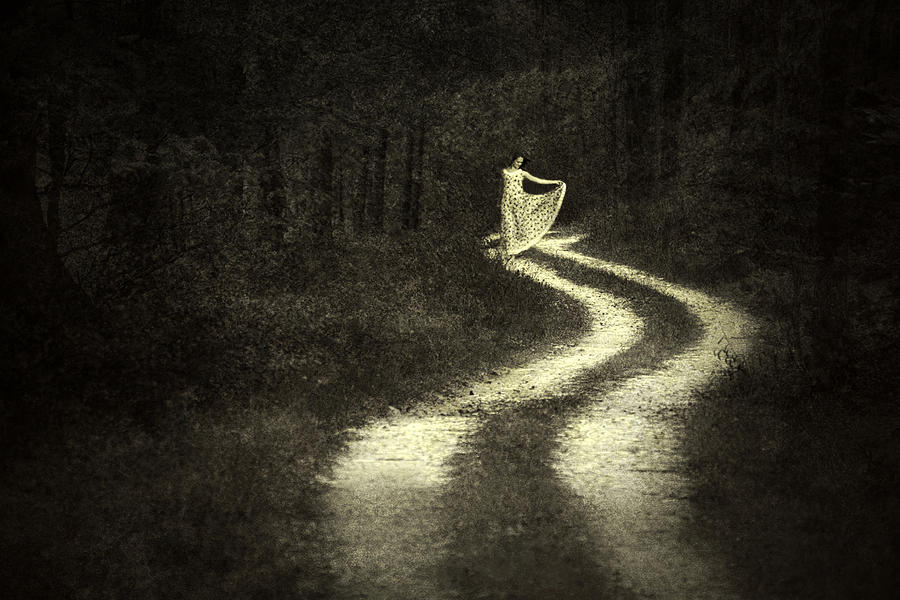 Life Like A Road In The Forest Photograph by Adela  Lia Rusu