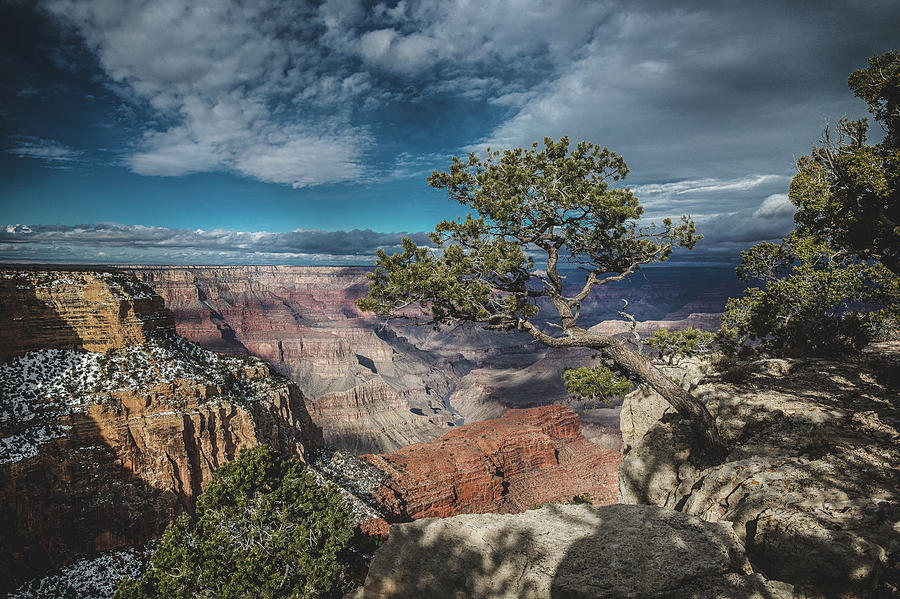 Life on the Edge by Ryan Lima Life on the Edge by Ryan Lima