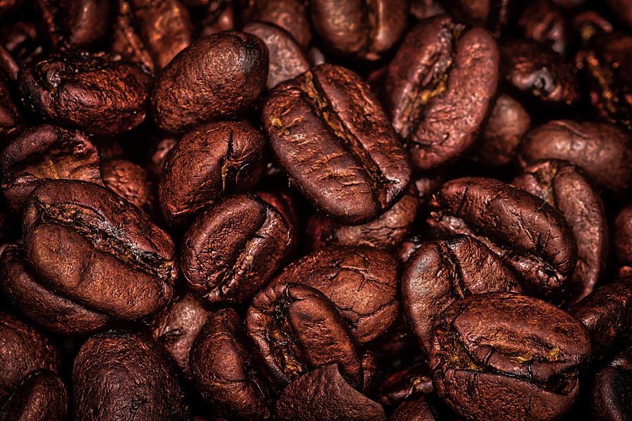 Coffee Photograph - Life Source by David Morefield