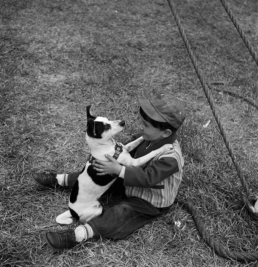 Dog Photograph - Life Visits the Circus in Florida- Child playing with a dog by Nina Leen