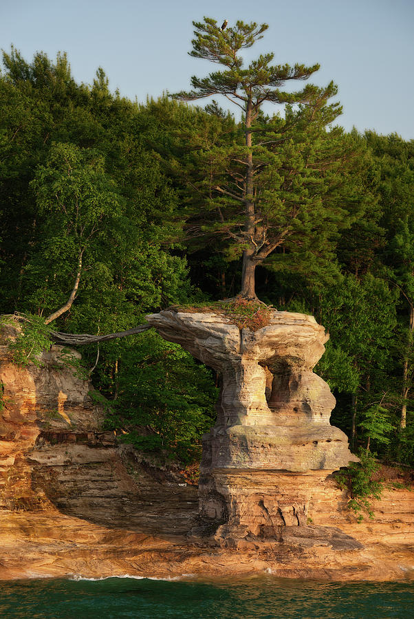 Life Will Find a Way - Pine tree atop Chapel Rock at Pictured Rocks National Lakeshore with Bald Eag Photograph by Peter Herman