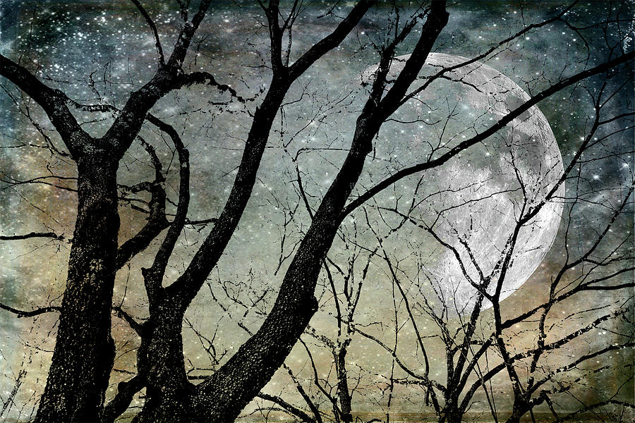 Lifeless by Dan Carmichael Lifeless by Dan Carmichael