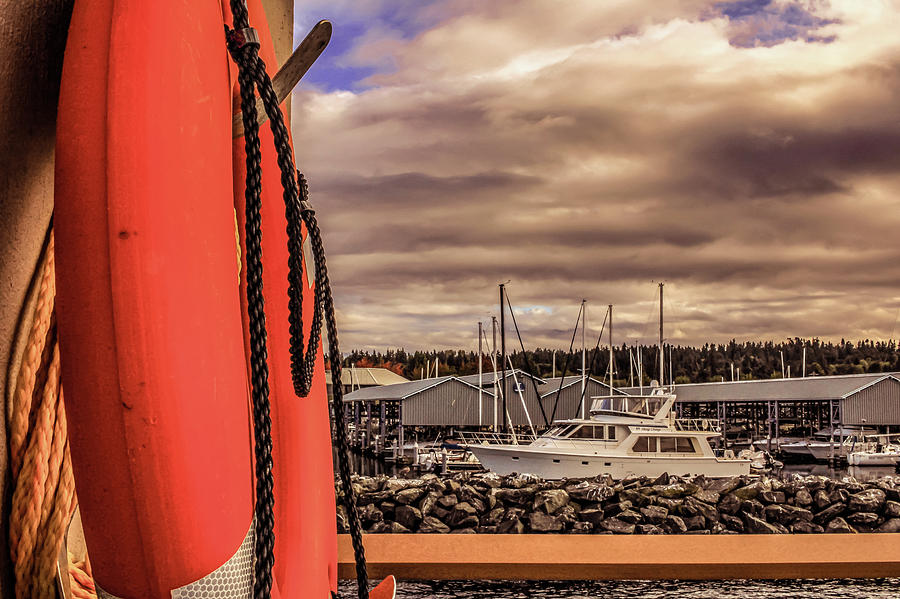 Lifesaver in Edmonds Beach Photograph by Anamar Pictures