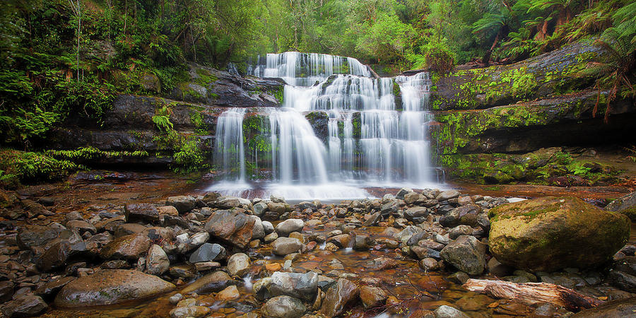 Liffey Falls Photograph by Everlook Photography - Fine Art America