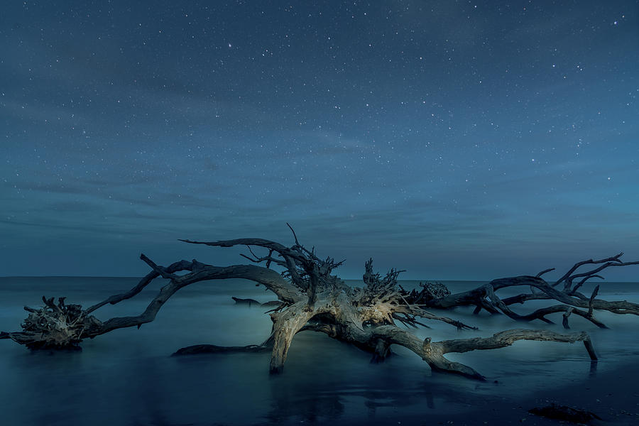 Lighpainting driftwood on the beach Photograph by Rod Gimenez