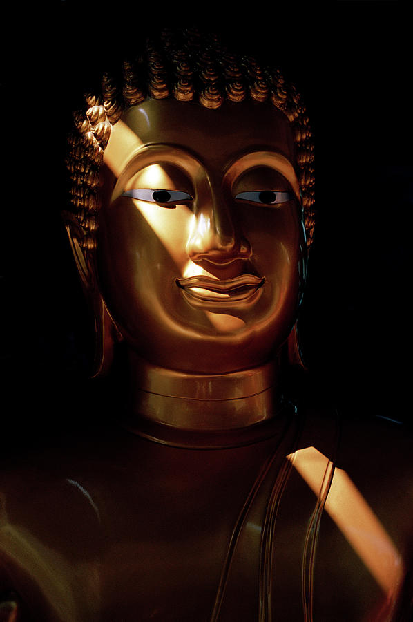 Light And Buddha Photograph by Shaun Higson