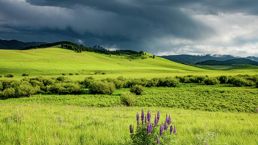 Light and Landscape in Big Sky Country Photograph by Marcy Wielfaert