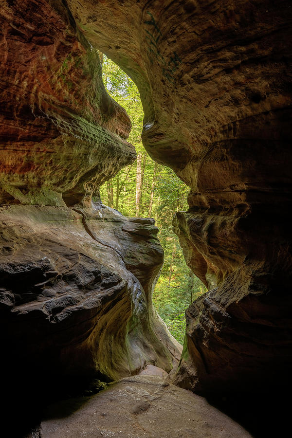 Light and Shadow Photograph by Arthur Oleary