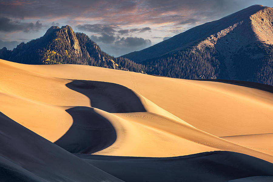 Great Sand Dunes National Park Photograph - Light And Shadow by Siyu And Wei Photography