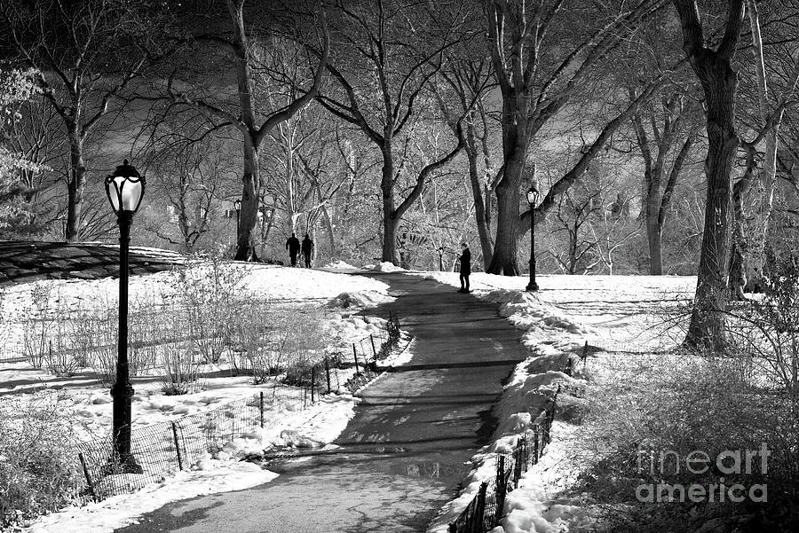 Light and Shadows at Central Park New York City Photograph by John Rizzuto