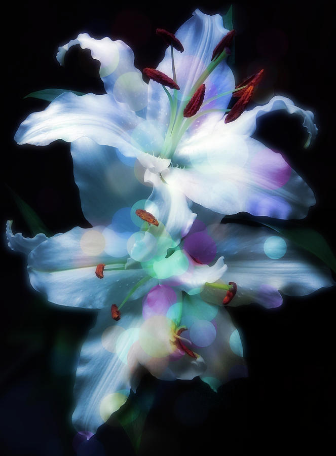 Light Blue Lilies And Creative Coloring Photograph by Johanna Hurmerinta