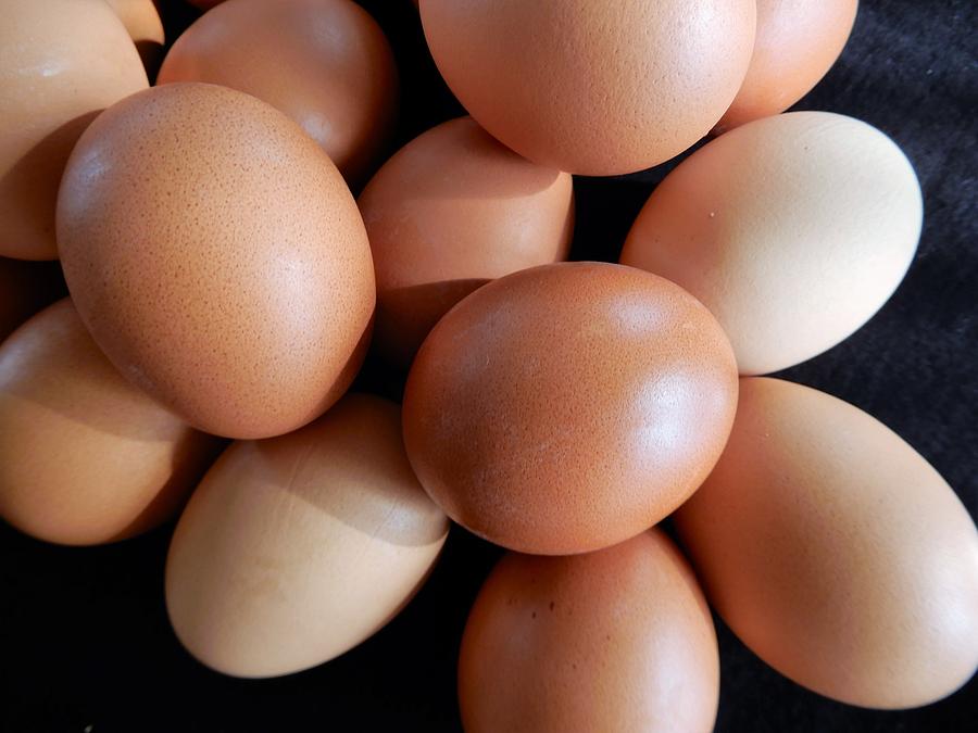 Light Brown Eggs Photograph