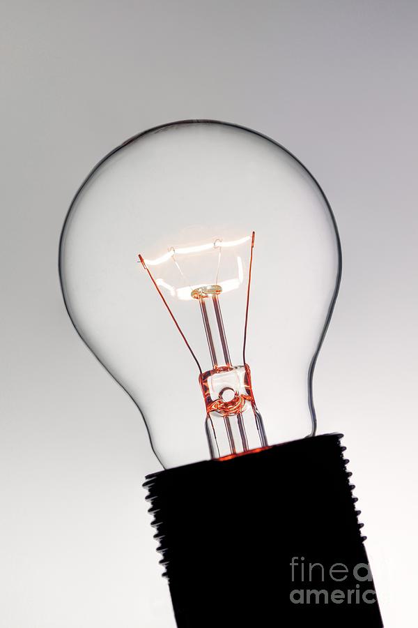 Light Bulb Photograph by Christian Lunig / Science Photo Library