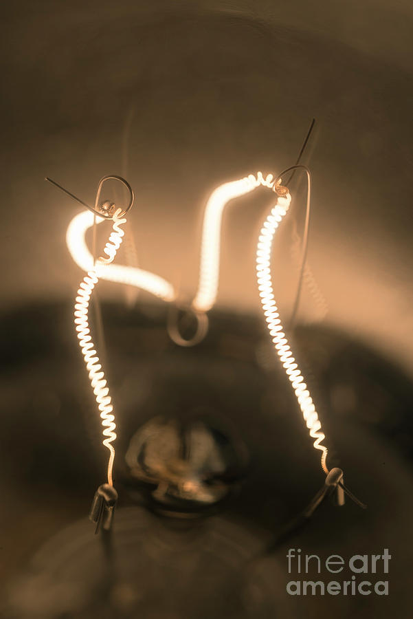 Light Bulbs Tungsten Filament Photograph by Daniel Sambraus/science Photo Library