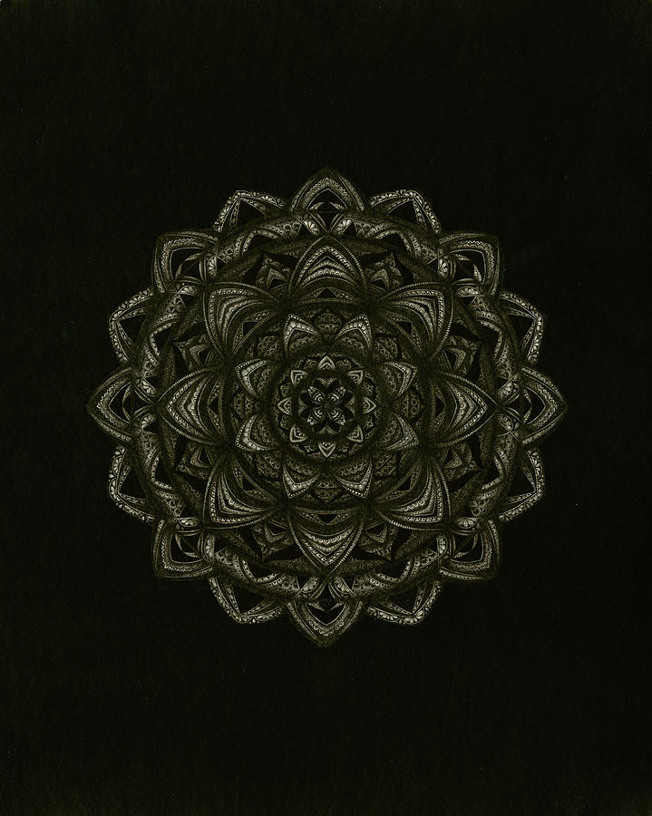 Pattern Digital Art - Light From The Darkness Mandala by Nicky Kumar