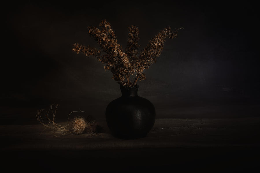 Vase Photograph - Light Games In The Dark by iek K?ral