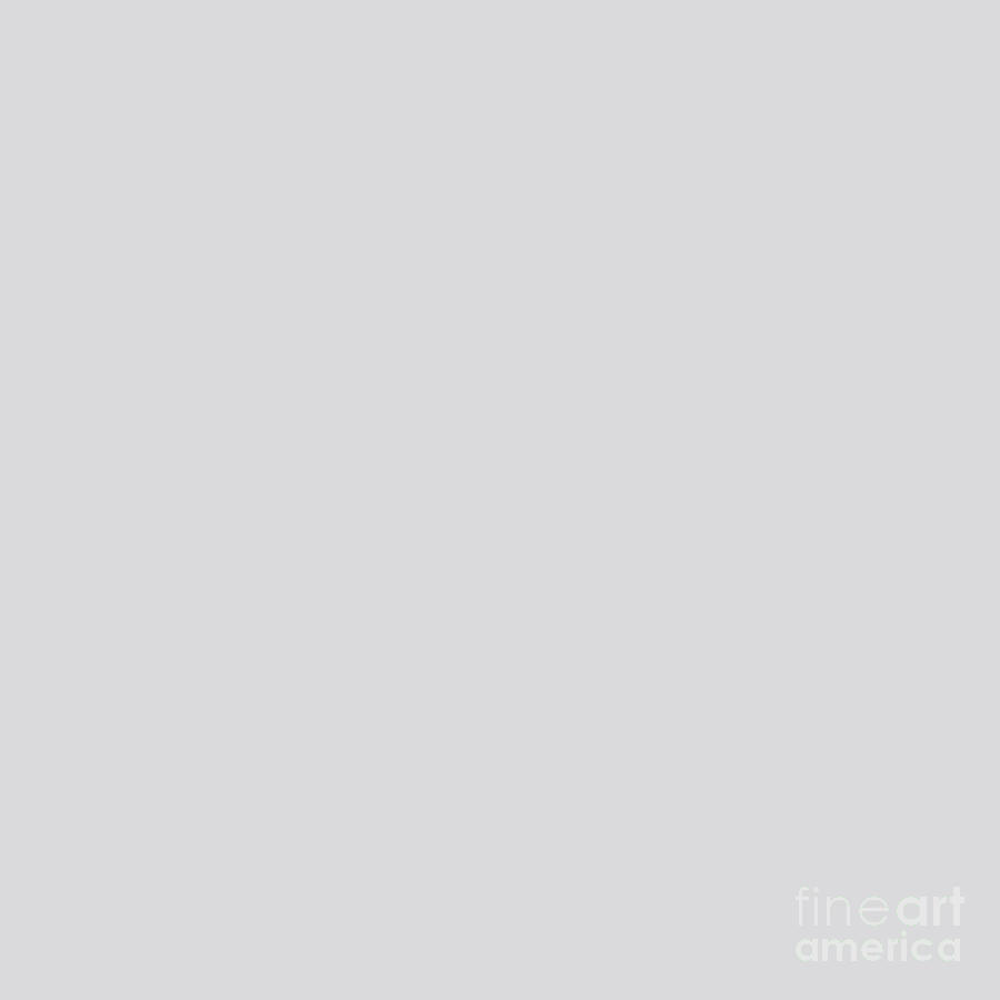 Light Gray Grey by Delynn Addams for Interior Home Decor Digital Art by Delynn Addams