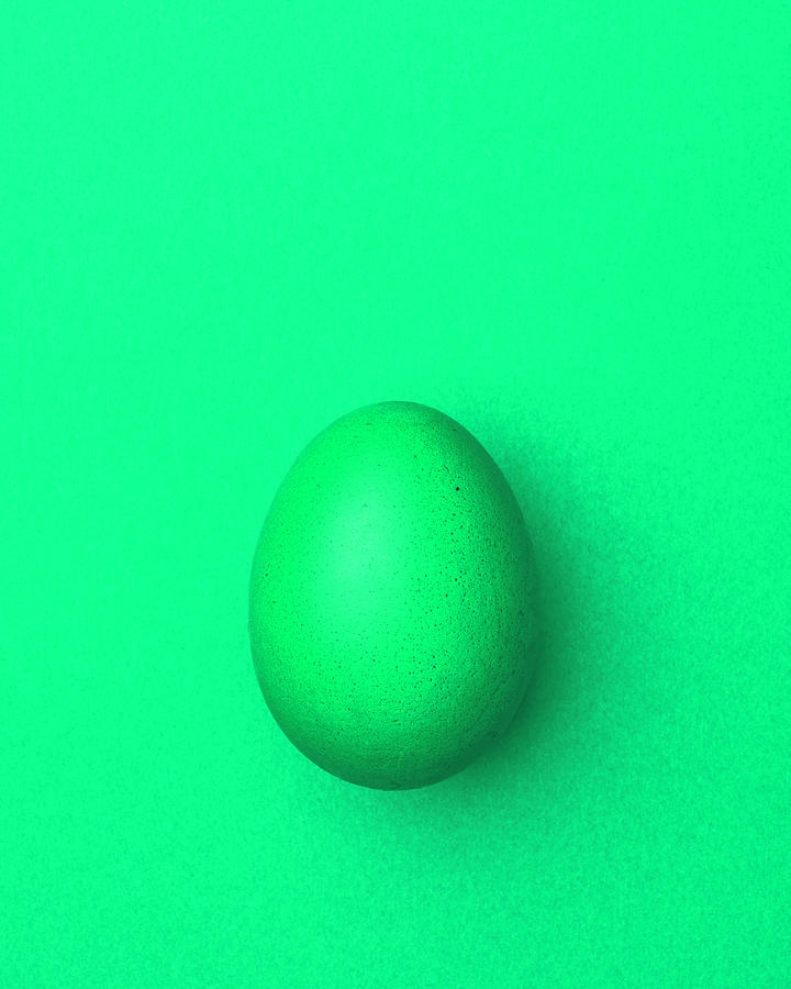 Light Green Easter Egg On A Light Green Background Photograph by Peter Rees