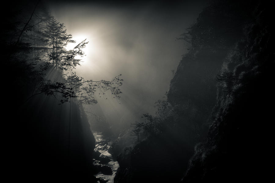 Light In The Canyon Photograph by Josef Sieberer