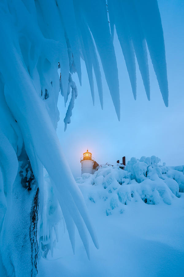 Light In The Cold Photograph by John Fan