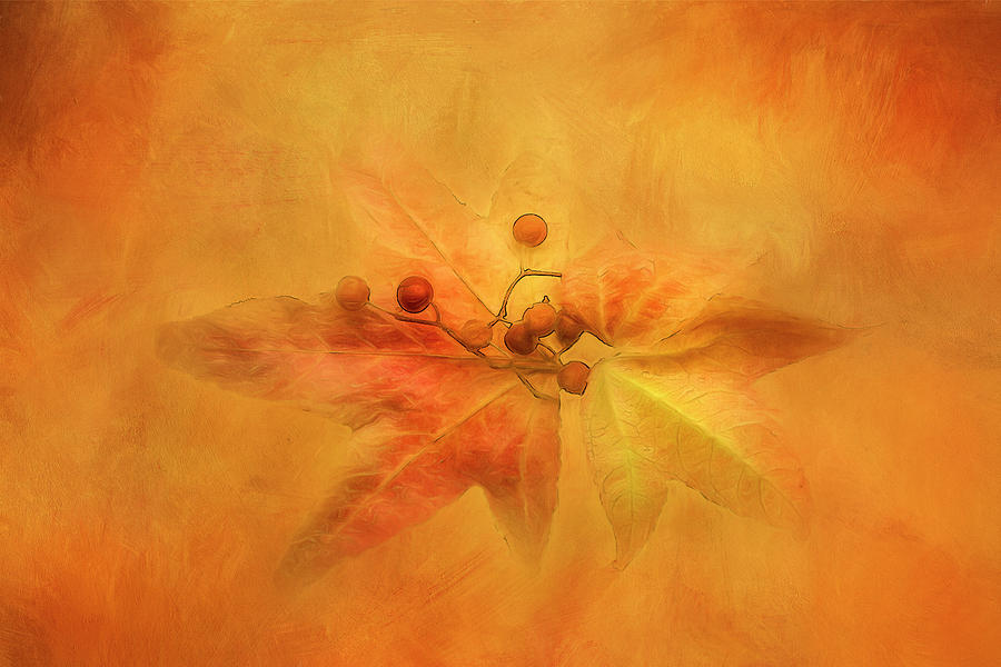 Light in the Leaves Digital Art by Terry Davis