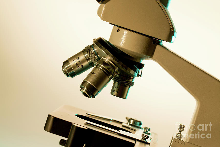 Light Microscope Stage And Lenses Photograph by Wladimir Bulgar/science Photo Library