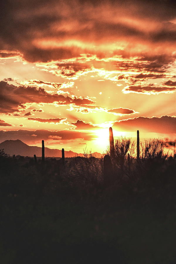 Light of Arizona Photograph by Chance Kafka