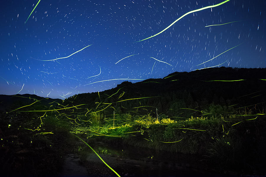 Abstract Photograph - Light Of Fireflies by Tsuneya Fujii