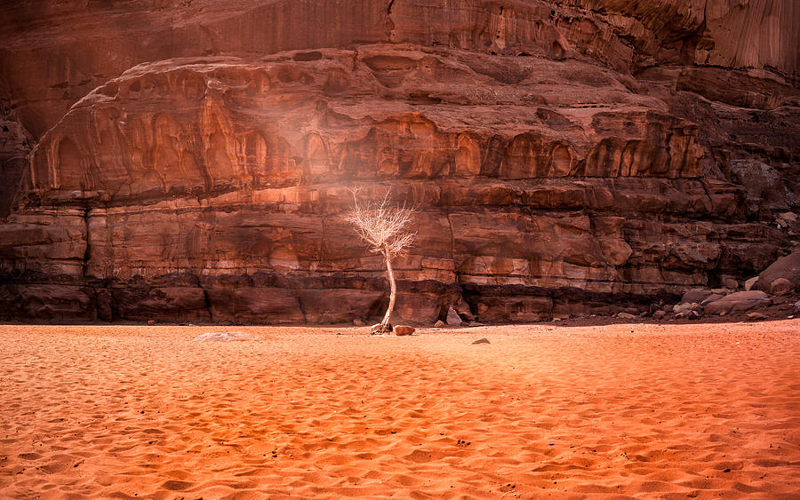 Desert Photograph - Light Of Hope by Elizabeth Cowle