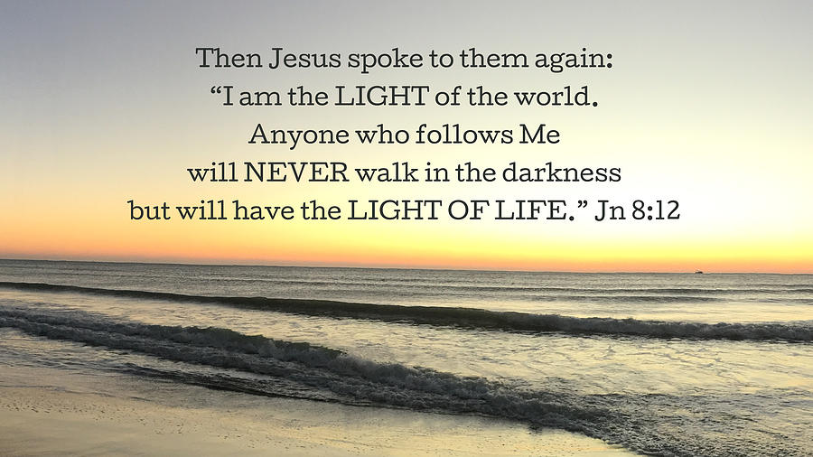 Light Photograph - Light of Life by April Beaver Light Photograph - Light of Life by April Beaver