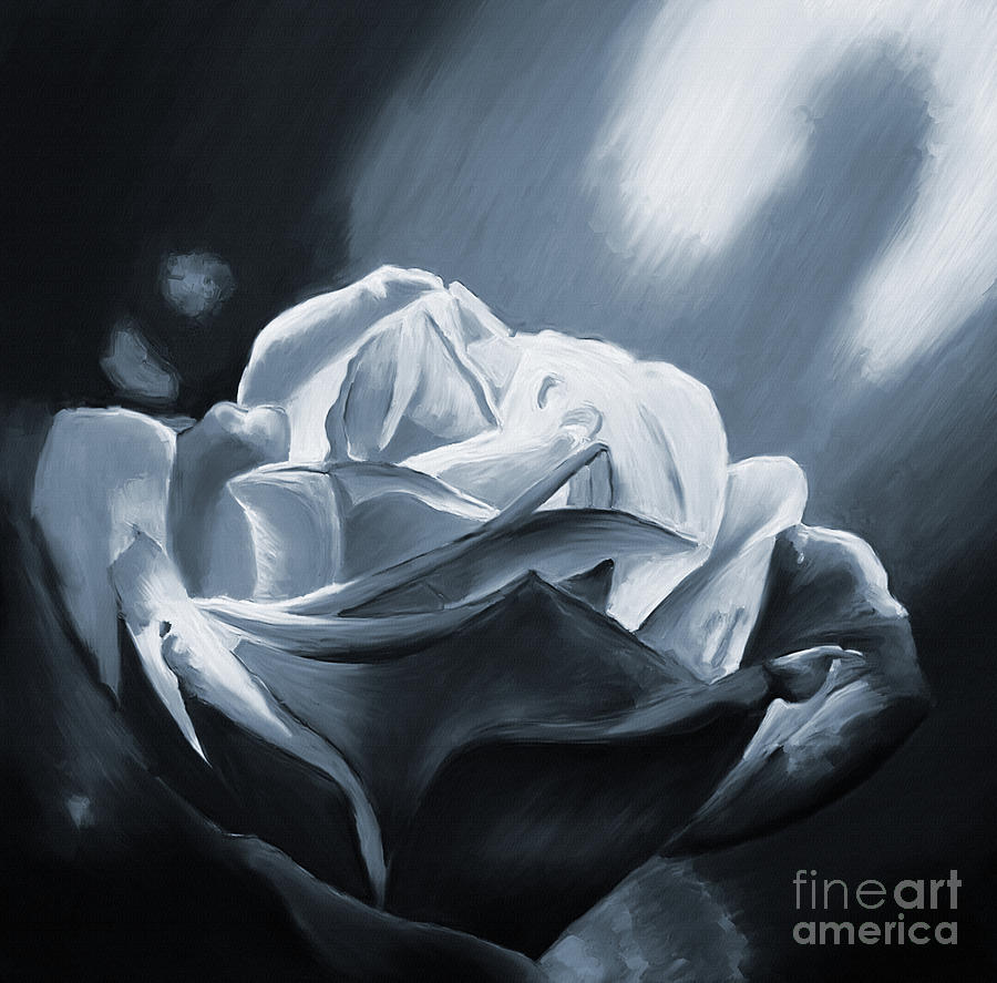 Nature Painting - Light on a Rose 01 by Gull G