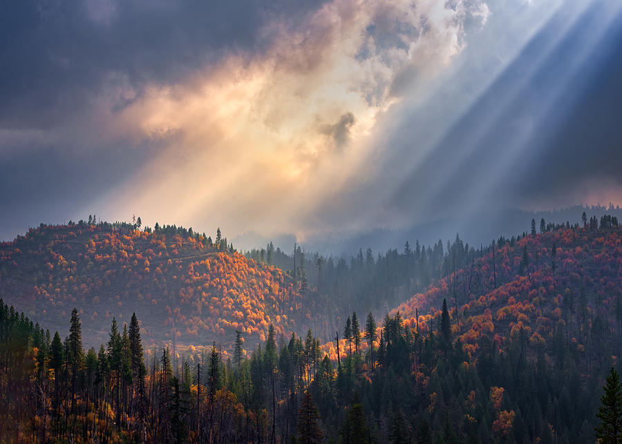 Light On Fall Mountain Photograph by Ryan Li