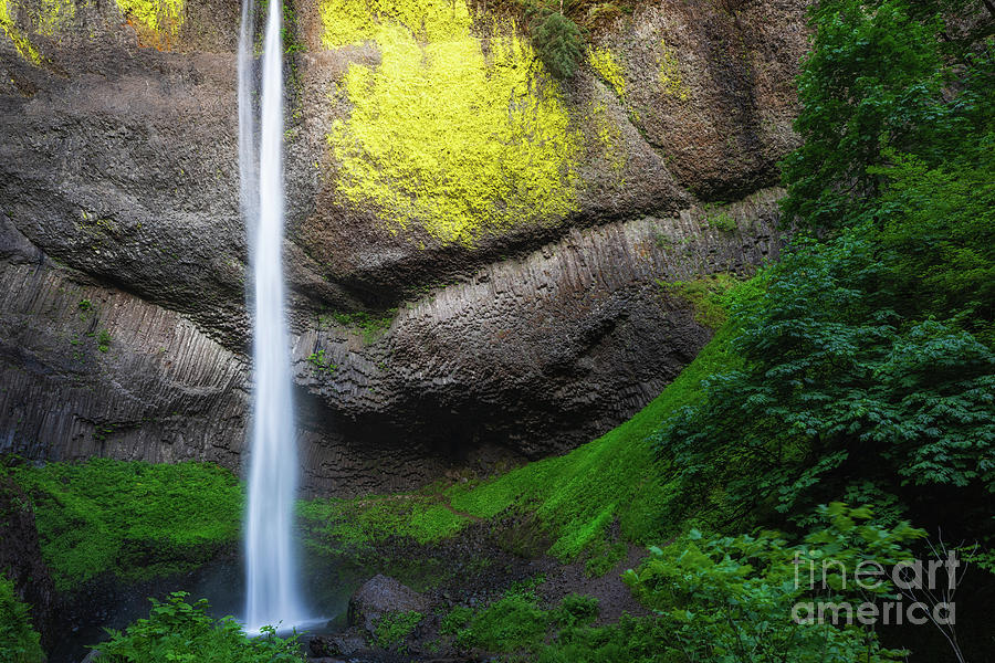 LIGHT ON LATOURELL FALLS by Doug Sturgess LIGHT ON LATOURELL FALLS by Doug Sturgess