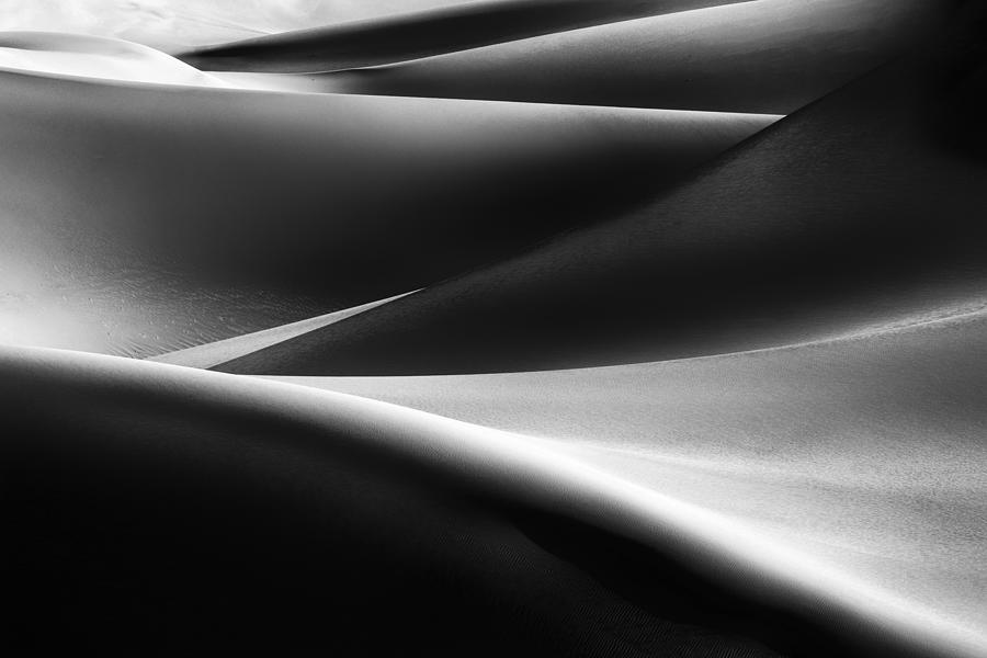 Light On Sand Dunes Photograph by Jenny Qiu
