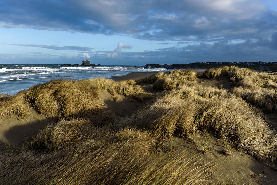 Light on the Beach Grass Photograph by Robert Potts