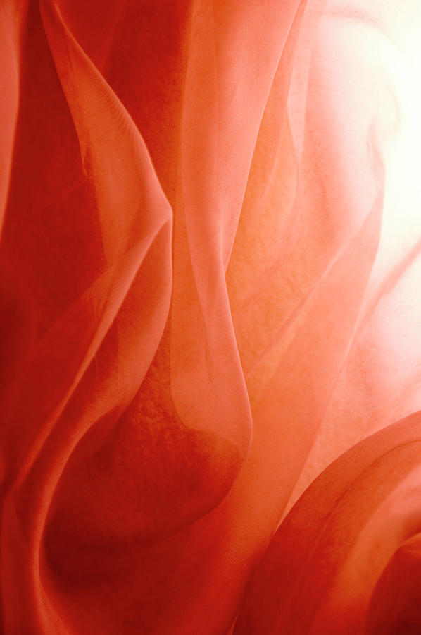 Light Shines Through Rose-colored Fabric Photograph by Jcarroll-images