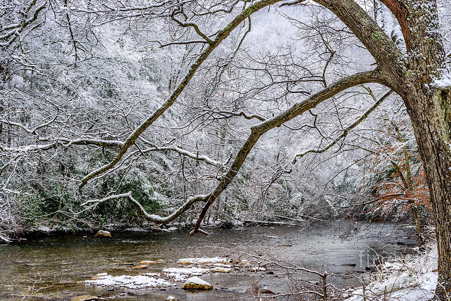 Light Snow on Cranberry River by Thomas R Fletcher Light Snow on Cranberry River by Thomas R Fletcher