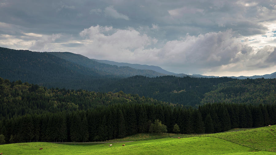 Light spot on the valley by Yuri San Light spot on the valley by Yuri San