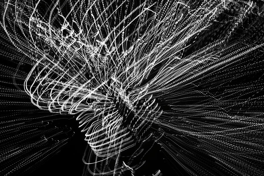 Light Swirl by Yulia Kazansky Light Swirl by Yulia Kazansky