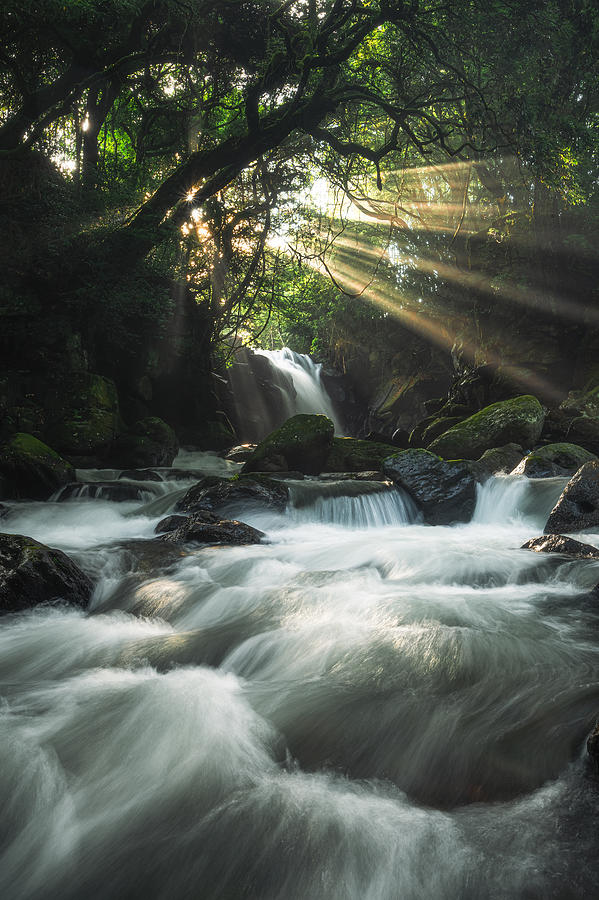 Light Photograph by Takumiikeda - Fine Art America