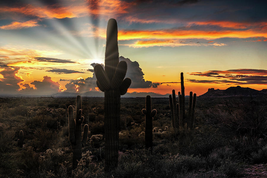 Light The Arizona Skies  Photograph by Saija Lehtonen