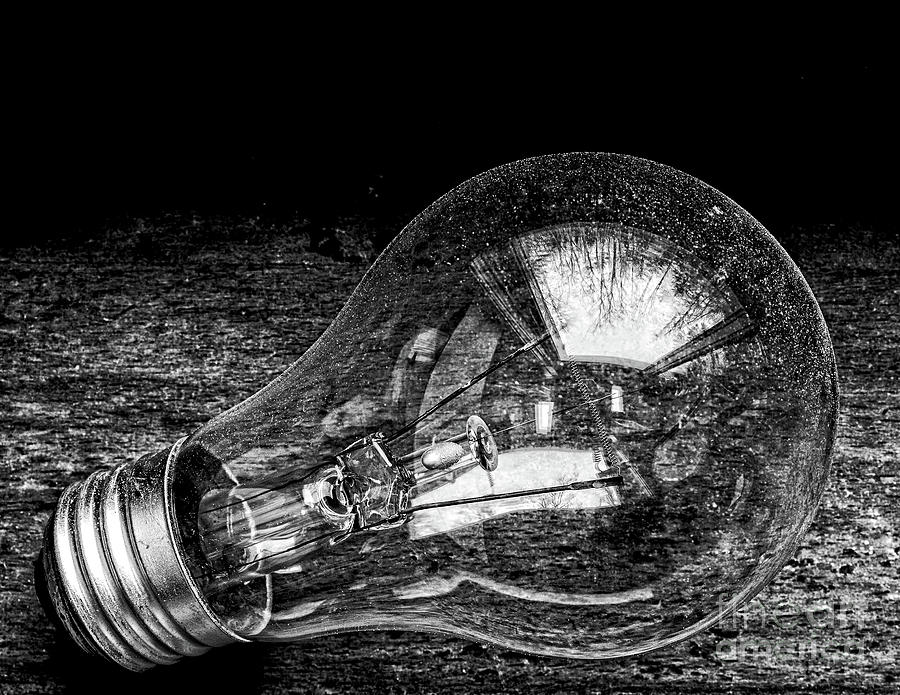 Lightbulb Photograph by Edward Fielding