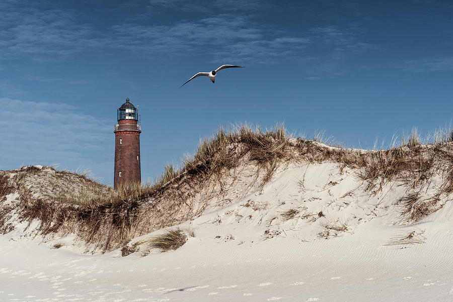 Lighthouse Darer Ort, Sand Dune, Seagull, Weststrand, Fischland-dar-zingst, Mecklenburg-vorpommern, Germany, Europe Photograph by Axel Ellerhorst