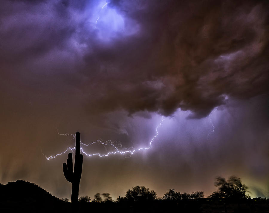 Lightning Wrapped Saguaro  Photograph by Saija Lehtonen