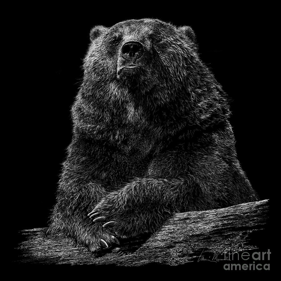 Bear Drawing - Like A Bear by Laurie Musser Bear Drawing - Like A Bear by Laurie Musser